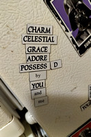 A sample of the magnetic words on the old fridge