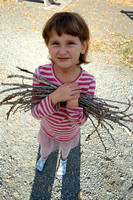 K collecting sticks for a campfire (which we weren't having).