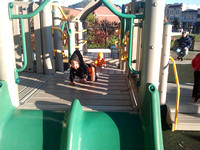 Exploring the playground.