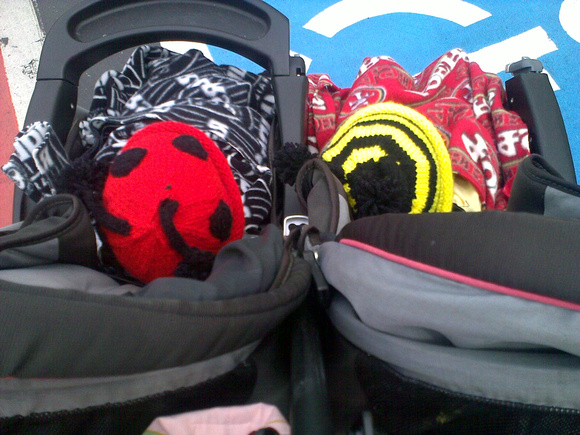 Bug hats!  There are babies under there.