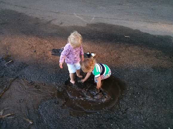 Playing in a mud puddle!  This was like their second mud puddle ever.