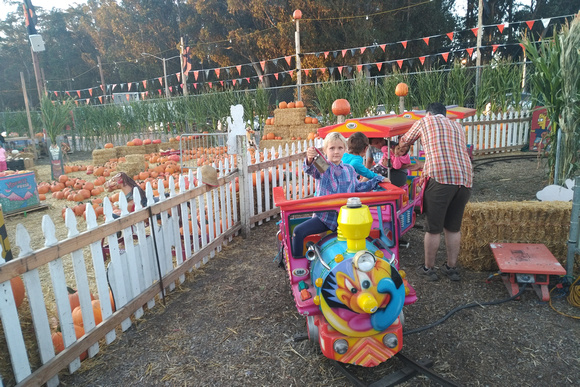 F ringing the bell at the pumpkin patch