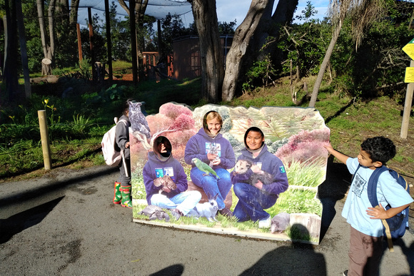 School Zoo Trip: Picture cut-outs