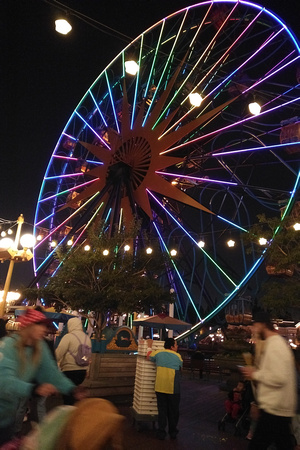 Disneyland 2020: Pretty ferris wheel