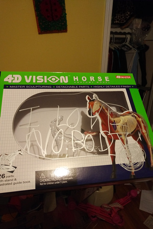 I can't tell if this is a pun on the horse's see-through-ness or a cry for help -_-;