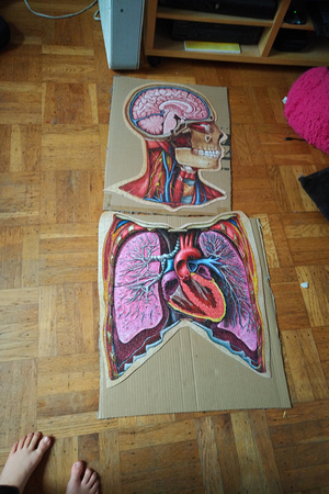Head and chest puzzles done!