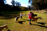 F and K meeting dogs at the park