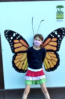 K being a monarch at the zoo