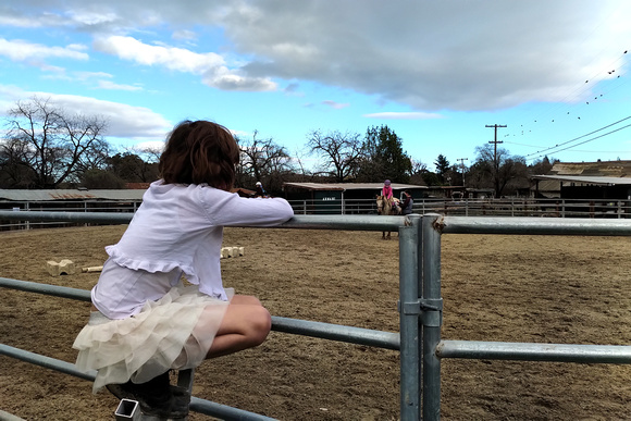 K watching F on a horse
