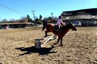 Horse jumping action shot