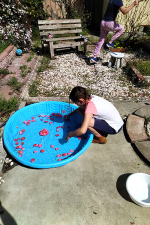 K making a flower pool