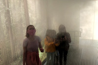 Fog room at CA Academy Of Sciences