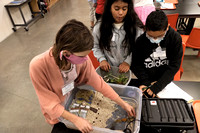 Making a shoreline at CA Academy Of Sciences