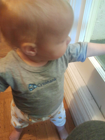Best picture I could get of F in her Cytobank shirt