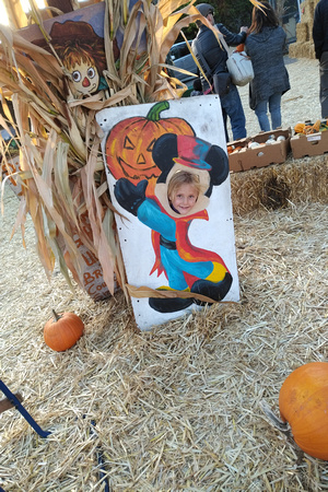 F as Mickey at the pumpkin patch