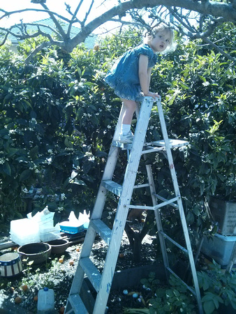 K climbing a ladder at Nama's house, 5/5.  I suggested she go down at that point.  :D