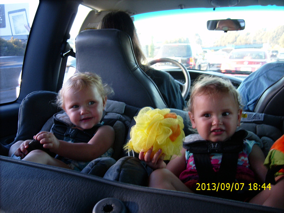 Babies in the car looking confused