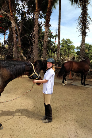 F found a horse in Todos Santos, because of course she did