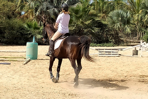 F horseback ride in Todos Santos, 5/6