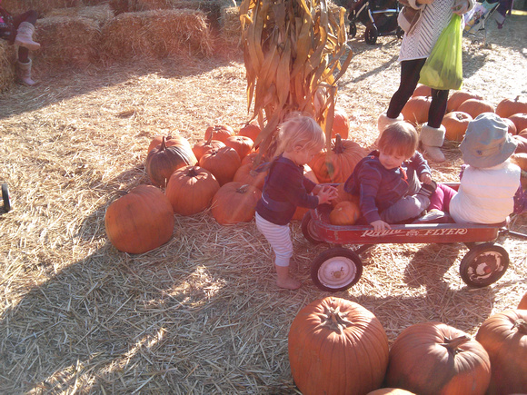 F is giving pumpkins to random other kids.  :3