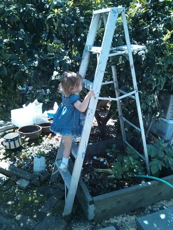 K climbing a ladder at Nama's house, 1/5