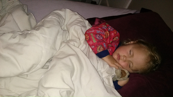 F sleeping with Awoosh (wolf stuffy).