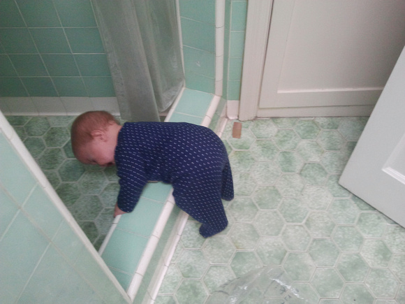 F tried to crawl in the shower and got trapped and couldn't figure out how to go back or forward.