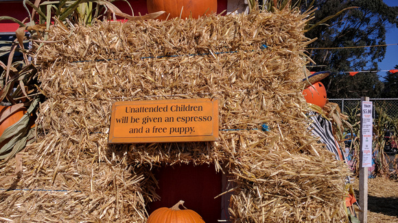 A sign at the local pumpkin patch.