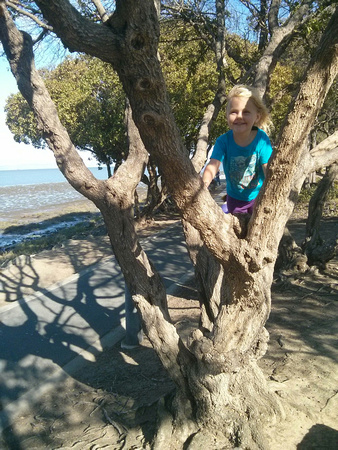 Tree climbing.