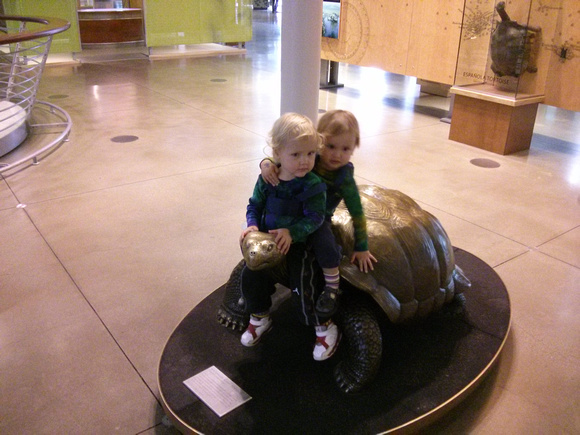 Ride 'em tortoise!