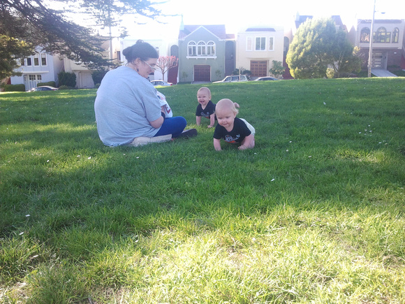 Babies exploring the grass!