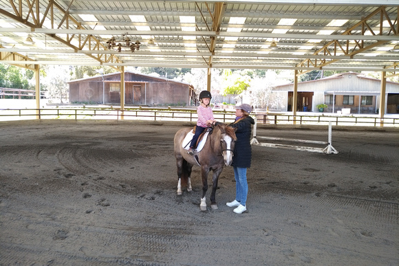 Trying Out Horseback Riding Places, 4/8