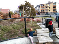 It's hard to see the details, but both girls are avidly watching a pair of teenage boys practicing their skateboarding.  They watched for (for them) a long time; maybe as long as 10 minutes.