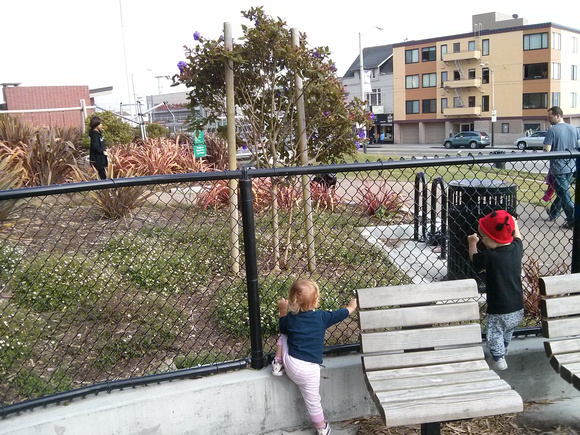 It's hard to see the details, but both girls are avidly watching a pair of teenage boys practicing their skateboarding.  They watched for (for them) a long time; maybe as long as 10 minutes.