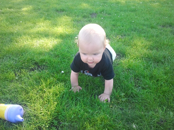 F trying to figure out grass.
