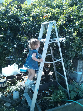 K climbing a ladder at Nama's house, 2/5