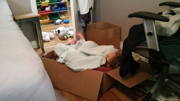 The girls made a bed out of a box in my room.