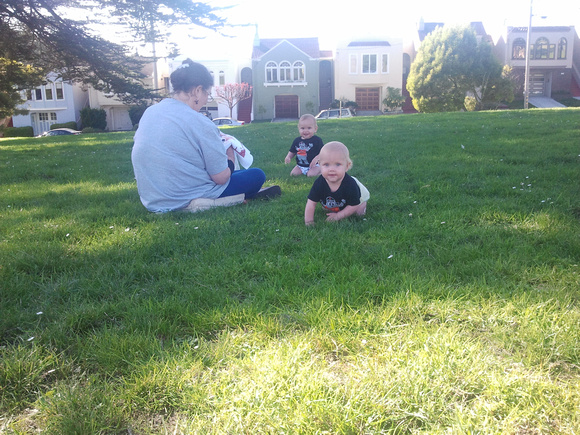 Babies exploring the grass!