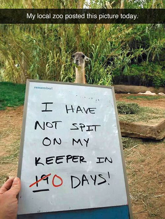 My local zoo posted this picture today.