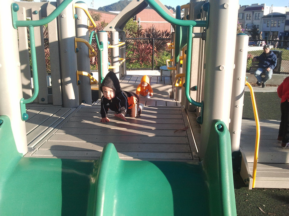 Exploring the playground.