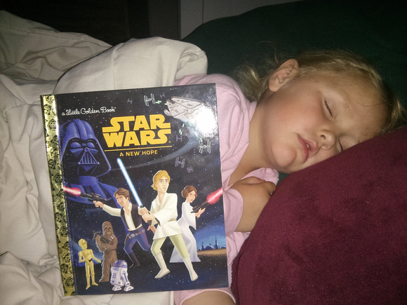 Fell asleep reading Star Wars.  I approve.