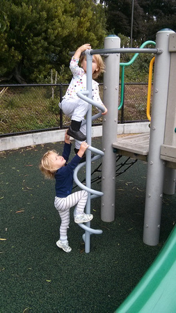 K climbing the spiral for the first time I ever saw.  F trying to get attention too.  :)