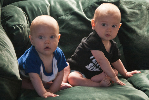 Two sitting babies, sort of.