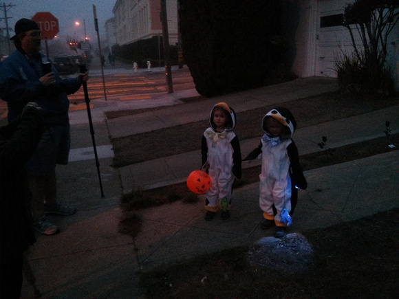 Penguin costumes!
